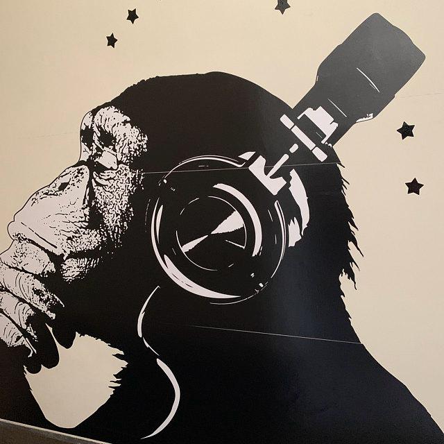 Framed chimp with headphones
